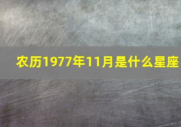 农历1977年11月是什么星座