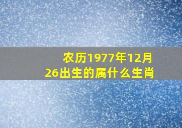 农历1977年12月26出生的属什么生肖