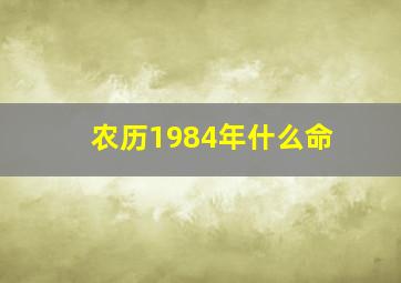 农历1984年什么命