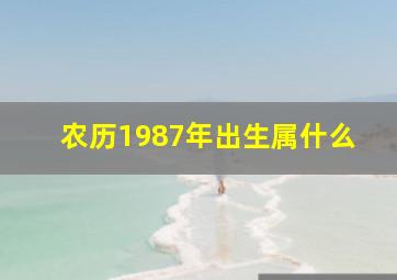 农历1987年出生属什么