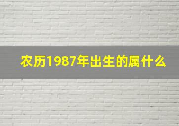 农历1987年出生的属什么