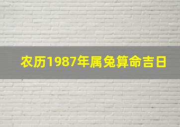 农历1987年属兔算命吉日