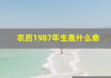 农历1987年生是什么命