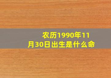 农历1990年11月30日出生是什么命