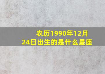 农历1990年12月24日出生的是什么星座