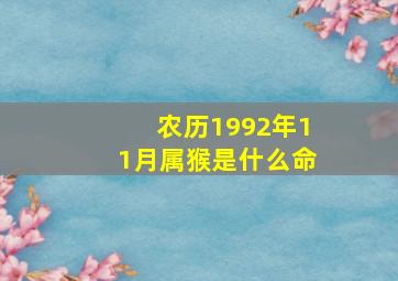 农历1992年11月属猴是什么命