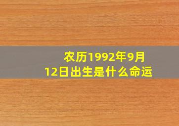 农历1992年9月12日出生是什么命运