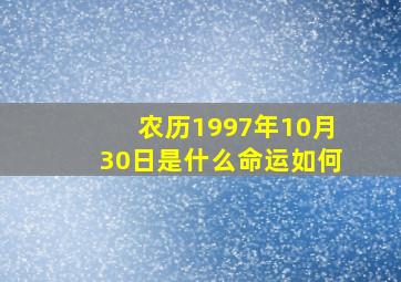 农历1997年10月30日是什么命运如何