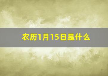 农历1月15日是什么