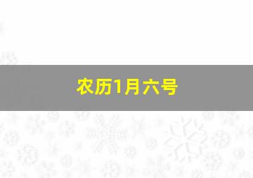 农历1月六号