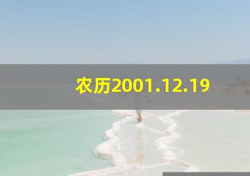 农历2001.12.19