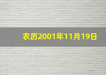 农历2001年11月19日