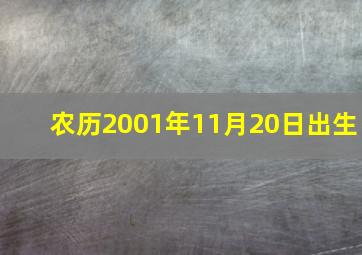 农历2001年11月20日出生