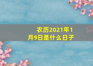 农历2021年1月9日是什么日子