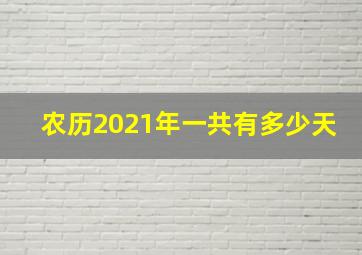 农历2021年一共有多少天