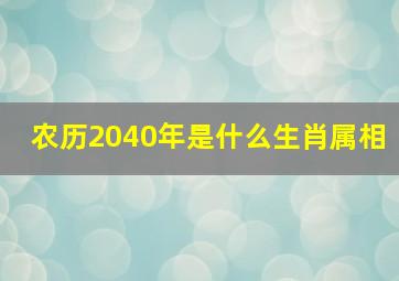 农历2040年是什么生肖属相