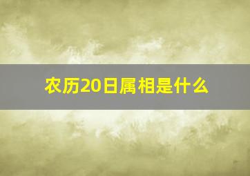 农历20日属相是什么