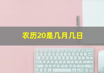 农历20是几月几日