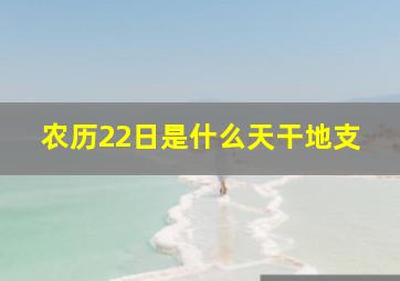 农历22日是什么天干地支