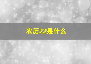 农历22是什么