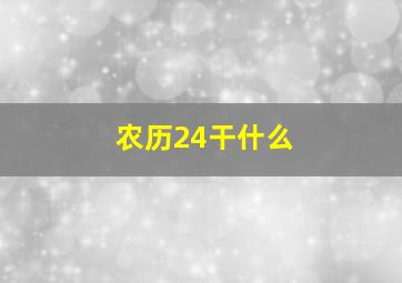 农历24干什么