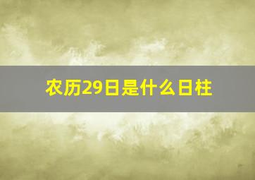 农历29日是什么日柱