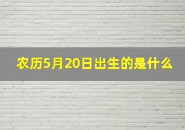 农历5月20日出生的是什么