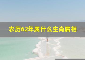 农历62年属什么生肖属相