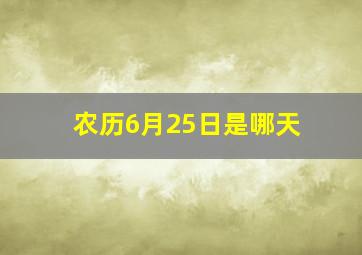 农历6月25日是哪天