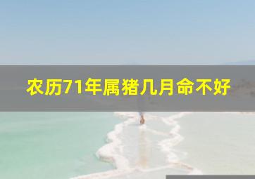 农历71年属猪几月命不好