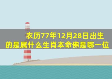 农历77年12月28日出生的是属什么生肖本命佛是哪一位