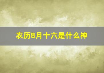 农历8月十六是什么神