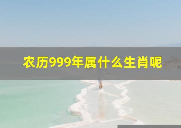 农历999年属什么生肖呢