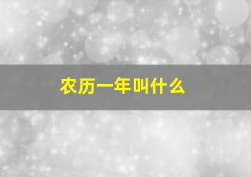 农历一年叫什么