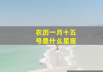 农历一月十五号是什么星座