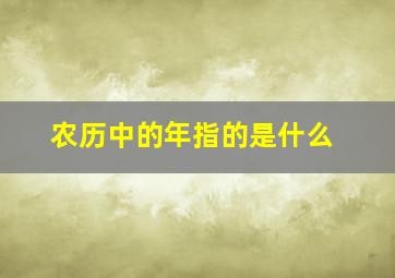 农历中的年指的是什么