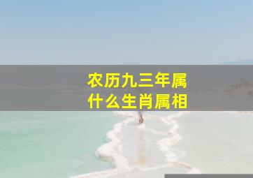 农历九三年属什么生肖属相