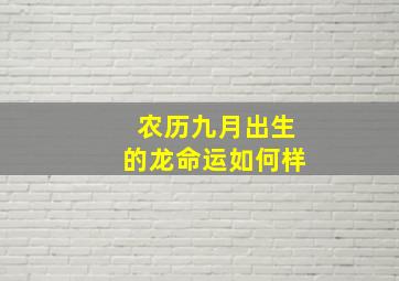 农历九月出生的龙命运如何样