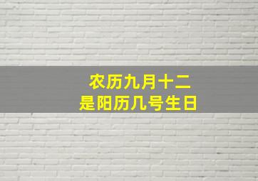 农历九月十二是阳历几号生日