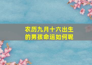 农历九月十六出生的男孩命运如何呢