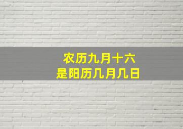 农历九月十六是阳历几月几日