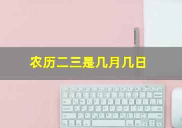 农历二三是几月几日