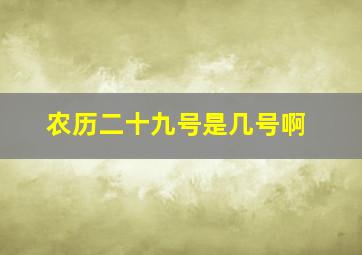 农历二十九号是几号啊