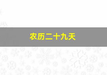 农历二十九天