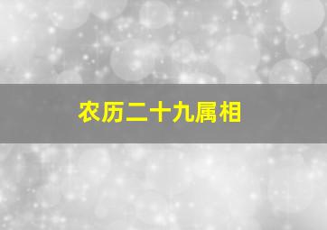 农历二十九属相