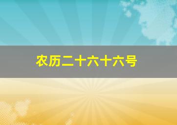 农历二十六十六号