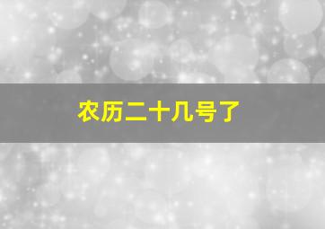 农历二十几号了