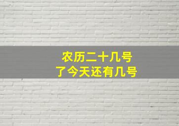 农历二十几号了今天还有几号