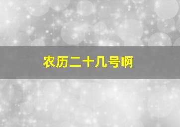 农历二十几号啊