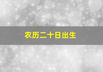 农历二十日出生